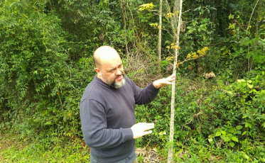 Fragmentos florestais de mata nativa integram espaços da Satc