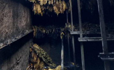 Com mais de uma tonelada de folhas de fumo, estufa pega fogo em Morro da Fumaça