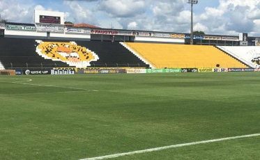 Novorizontino x Criciúma - Um Tigre já subiu; o outro briga pelo acesso