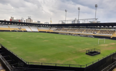 Quatro profissionais do Tigre testam positivo para Covid-19