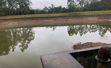 Estiagem faz Cocal decretar emergência 
