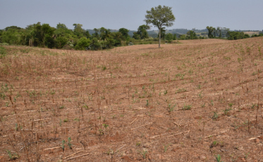 Estado apresenta avaliação de impactos da estiagem