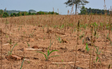 Boletim Hidrometeorológico aponta baixo volume de chuva no Estado