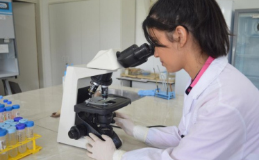 Pesquisadores da Udesc desenvolvem teste rápido e inovador para Covid-19