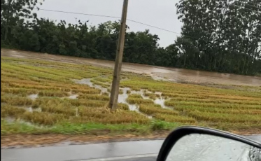 Prefeito desmente evacuação de cidade do Sul por conta da chuva 