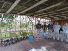 CERSUL entrega mudas para prefeituras no dia da árvore