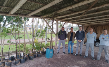 CERSUL entrega mudas para prefeituras no dia da árvore