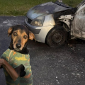 Homem ateia fogo em carro com cão dentro e foge em Criciúma