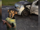 Homem ateia fogo em carro com cão dentro e foge em Criciúma
