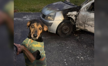 Homem ateia fogo em carro com cão dentro e foge em Criciúma