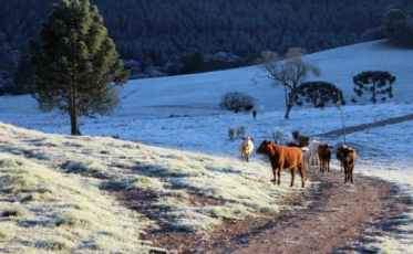 Baixas temperaturas batem recordes por três dias seguidos no estado