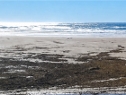 Ciclone faz mar recuar e deixa extensa faixa de areia exposta em SC