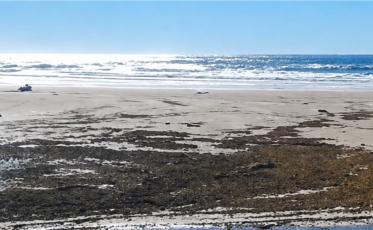 Ciclone faz mar recuar e deixa extensa faixa de areia exposta em SC