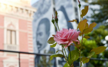 Exposição de 200 anos de Anita Garibaldi inspira nova proposta de interação com público