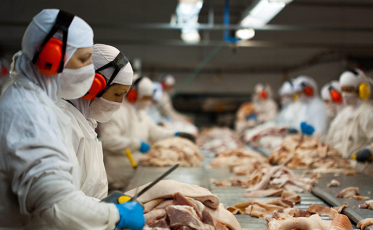 Exportações catarinenses crescem 4,8% em janeiro