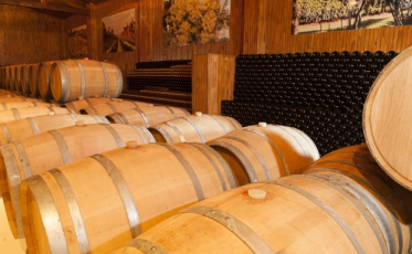 Fapesc investe R$ 1 milhão em novos estudos para produção de vinho e uva em Santa Catarina