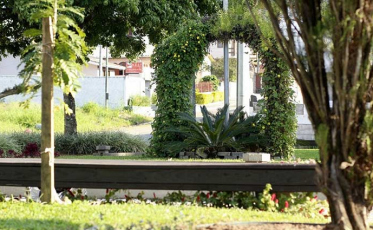 Famcri permite que empresas adotem canteiro central da Avenida Centenário