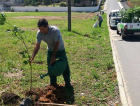 Morro Estevão recebe mudas de ipês
