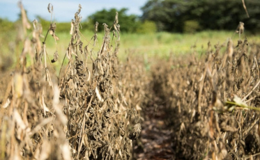 Fórum Climático aponta preocupação com chuvas em fevereiro e março