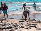 Rincão ganha aval para galpões e prepara estrutura para beneficiar até 6 toneladas de peixe por dia
