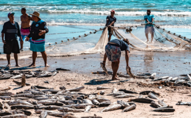 Rincão ganha aval para galpões e prepara estrutura para beneficiar até 6 toneladas de peixe por dia
