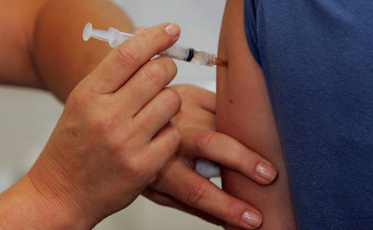 Santa Catarina registrou nove suspeitas de febre amarela em janeiro