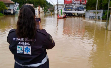 Chuvas em SC: mais de 70% dos empresários relatam queda no faturamento (ÁUDIO)