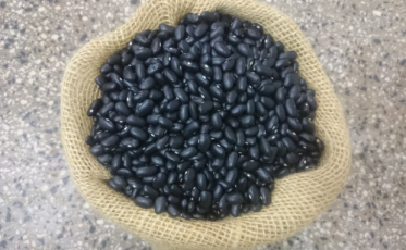 Estado irá investir R$ 4 milhões em alimentação na rede estadual