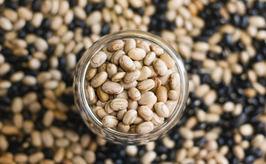 A estrela do dia: o feijão e seus muitos nutrientes