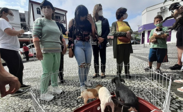Primeira feira de adoção animal de Içara acontece no sábado