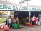 Feira da Agricultura Familiar de Siderópolis retorna neste sábado