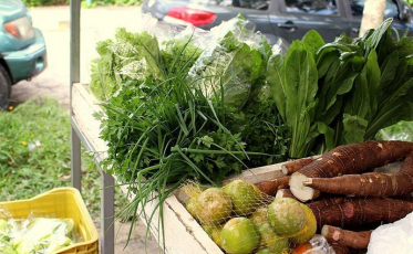 Variedades na 2° edição da Feira da Agricultura Familiar