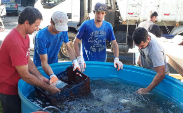 Aproximadamente 5 toneladas de peixes na feira de Içara