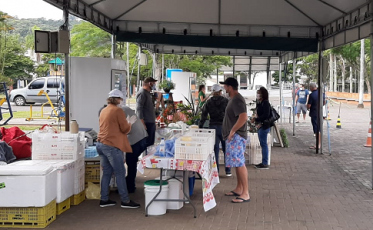Feira da Agricultura Familiar é retomada em Siderópolis