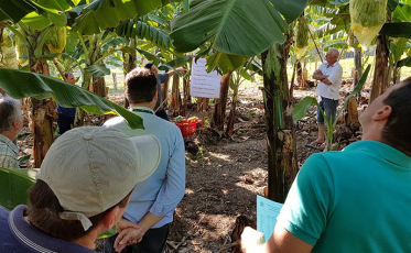 Gerência de Agricultura e Agronegócio promove lançamento da 3ª Festa da Banana