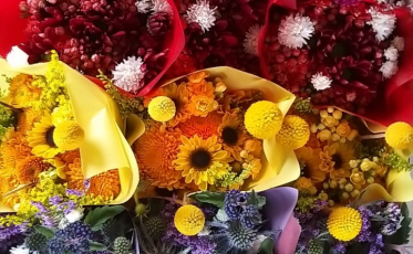 Festival de flores do Bistek anuncia chegada da primavera