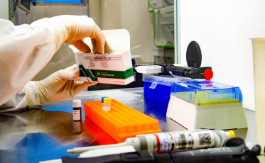 Fiocruz: estudo sugere que variante delta pode causar mais reinfecções