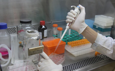 Pesquisadores desenvolvem testes rápidos para diagnóstico de Covid-19