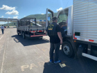 Auditores da Secretaria da Fazenda fiscalizam transporte de mercadorias em Florianópolis