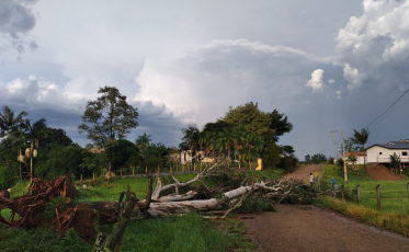 Vendaval causa estragos em Forquilhinha (VÍDEO)