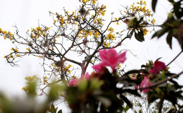 Concurso fotográfico 