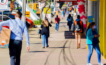 Covid-19: Alesc analisa projetos voltados à economia catarinense