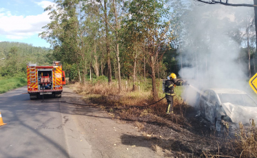 Treviso: motorista dorme no volante e veículo pega fogo após colidir em árvore