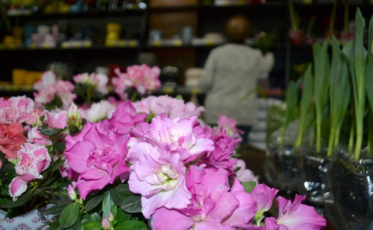 Bistek organiza a Expo Flores a partir de quinta