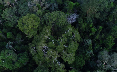 Inpe cria plataforma gratuita de dados do solo brasileiro