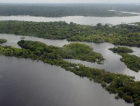 Alemanha retomará investimentos no Fundo Amazônia