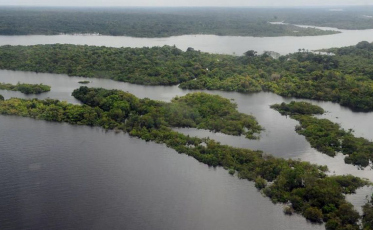 Alemanha retomará investimentos no Fundo Amazônia