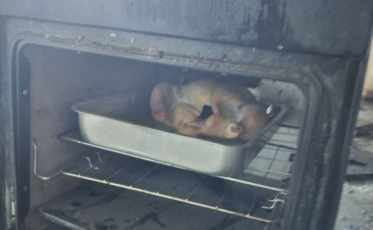 Arroio do Silva: Frango no forno pode ter provocado incêndio em residência