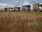 Demanda de frete rodoviário no agronegócio cresceu 8,6% em julho