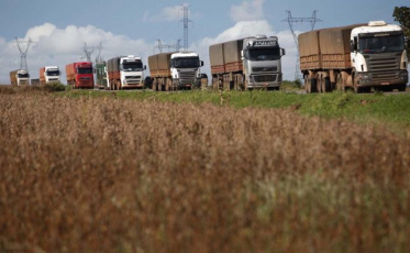 Demanda de frete rodoviário no agronegócio cresceu 8,6% em julho
